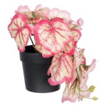 GloboStar® Artificial Garden RED BEGONIA PLANT 20948 Διακοσμητικό Φυτό Κόκκινη Βιγόνια Φ23 x Υ16cm
