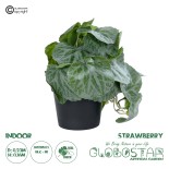GloboStar® Artificial Garden STRAWBERRY 20950 Διακοσμητικό Φυτό Φραουλιά Υ16cm
