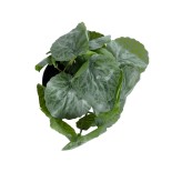 GloboStar® Artificial Garden STRAWBERRY 20950 Διακοσμητικό Φυτό Φραουλιά Υ16cm