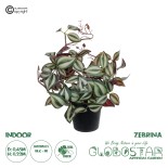 GloboStar® Artificial Garden ZEBRINA PLANT 20961 Διακοσμητικό Φυτό Ζεμπρίνα Φ45 x Υ22cm