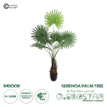 GloboStar® Artificial Garden SERENOA PALM PLANT 20971 Διακοσμητικό Φυτό Φοίνικα Σερενόα Φ60 x Υ140cm