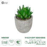 GloboStar® Artificial Garden SUCCULENT SEDEVERIA POTTED PLANT 21019 Διακοσμητικό Φυτό Σεδεβέρια  Φ6,5 x Υ9cm