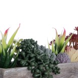 GloboStar® Artificial Garden SUCCULENT VARIUS PLANT POTTED 21033 Διακοσμητικό Φυτό Μίξ Μ29 x Π10 x Υ18cm