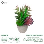 GloboStar® Artificial Garden SUCCULENT VARIUS PLANT POTTED 21039 Διακοσμητικό Φυτό Μίξ Μ17 x Υ20cm