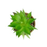 21044