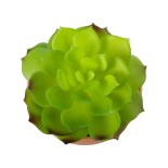 21049