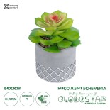 GloboStar® Artificial Garden SUCCULENT SEDEVERIA 21095 Διακοσμητικό Φυτό Παχύφυτο Σεντεβέρια Υ17cm