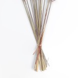 GloboStar® Artificial Garden REAL DRIED BROWN PAMPAS GRASS BUNCH 21215 Αποξηραμένο Διακοσμητικό Μπουκέτο Pampas Kάφε Y50cm