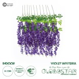21509 SET OF 12 PIECES