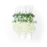 21513 SET OF 12 PIECES