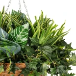 GloboStar® Artificial Garden VARIOUS HANGING PLANT 20623 Τεχνητό Κρεμαστό Διακοσμητικό Φυτό Φτέρης Π60 x Μ60 x Y70cm