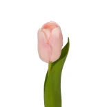 21200