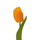 21202