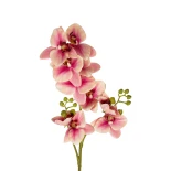 GloboStar® Artificial Garden CHAMPAGNE PINK ORCHID  BRANCH 21411 Τεχνητό Διακοσμητικό Κλαδί Σαμπανί Ορχιδέα Y70cm