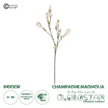 GloboStar® Artificial Garden CHAMPAGNE MAGNOLIA BRANCH 21423 Τεχνητό Διακοσμητικό Κλαδί Σαμπανί Μανόλια Y100cm
