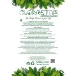 GloboStar® Artificial Garden EUCALYPTUS BRANCH 20484 Τεχνητό Διακοσμητικό Κλαδί Ευκάλυπτου Πράσινο Π30 x Μ30 x Υ80m