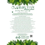 GloboStar® Artificial Garden EUCALYPTUS BRANCH 20484 Τεχνητό Διακοσμητικό Κλαδί Ευκάλυπτου Πράσινο Π30 x Μ30 x Υ80m