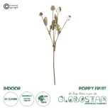 GloboStar® Artificial Garden POPPY FRUIT BRANCH 21433 Τεχνητό Διακοσμητικό Κλαδί Παπαρούνα Y60cm