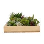 GloboStar® Artificial Garden VARIOUS PLANT 20642 Τεχνητό Διακοσμητικό Φυλλωσιάς σε Ξύλινο Πάνελ - Κάθετος Κήπος Μιξ Μ60 x Π40 x Υ20cm