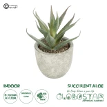 GloboStar® Artificial Garden SUCCULENT ALOE 21022 Τεχνητό Διακοσμητικό Φυτό Αλόη Μ6 x Π6 x Υ12cm
