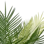 GloboStar® Artificial Garden PALM TREE 21153 Τεχνητό Διακοσμητικό Δέντρο Φοίνικας Μ100 x Π50 x Υ90cm