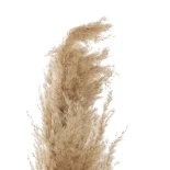 21217