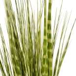 GloboStar® Artificial Garden ZEBRA GRASS 21481 Τεχνητό Διακοσμητικό Φυτό Ζέμπρα Μ30 x Π20 x Υ90cm