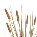GloboStar® Artificial Garden TYPHA GRASS 21483 Τεχνητό Διακοσμητικό Φυτό Γρασίδι της Τύφας Μ70 x Π40 x Υ150cm
