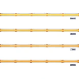 GLOBOSTAR® BEE 70359 Ταινία LED 8W/m 880lm/m 120° DC 24V IP20 320 x COB Chip/m Ψυχρό Λευκό 6000K Dimmable - Μ500 x Π0.8 x Υ0.2cm - Ρολό 5 Μέτρων - 5 Χρόνια Εγγύηση