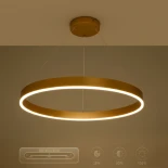 kelvo® VENOM KLV-101-0192 Κρεμαστό Φωτιστικό Οροφής LED 67W 6700lm 120° AC 220-240V IP20 Ρυθμιζόμενο Λευκό CCT με Χειριστήριο από 2700K έως 6000K Dimmable - Lumileds SMD Chip - Χρυσό Πλατίνα - Μ80 x Π80 x Υ6.5cm - 3 Χρόνια Εγγύηση