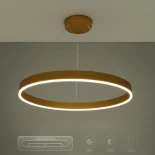 kelvo® VENOM KLV-101-0192 Κρεμαστό Φωτιστικό Οροφής LED 67W 6700lm 120° AC 220-240V IP20 Ρυθμιζόμενο Λευκό CCT με Χειριστήριο από 2700K έως 6000K Dimmable - Lumileds SMD Chip - Χρυσό Πλατίνα - Μ80 x Π80 x Υ6.5cm - 3 Χρόνια Εγγύηση