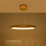 kelvo® NEMESIS KLV-101-0210 Κρεμαστό Φωτιστικό Οροφής LED 45W 4500lm 180° AC 220-240V IP20 Ρυθμιζόμενο Λευκό CCT με Χειριστήριο από 2700K έως 6000K Dimmable - Lumileds SMD Chip - Χρυσό Πλατίνα - Μ60 x Π60 x Υ4cm - 3 Χρόνια Εγγύηση