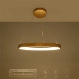 kelvo® NEMESIS KLV-101-0210 Κρεμαστό Φωτιστικό Οροφής LED 45W 4500lm 180° AC 220-240V IP20 Ρυθμιζόμενο Λευκό CCT με Χειριστήριο από 2700K έως 6000K Dimmable - Lumileds SMD Chip - Χρυσό Πλατίνα - Μ60 x Π60 x Υ4cm - 3 Χρόνια Εγγύηση