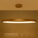 kelvo® NEMESIS KLV-101-0213 Κρεμαστό Φωτιστικό Οροφής LED 67W 6700lm 180° AC 220-240V IP20 Ρυθμιζόμενο Λευκό CCT με Χειριστήριο από 2700K έως 6000K Dimmable - Lumileds SMD Chip - Χρυσό Πλατίνα - Μ80 x Π80 x Υ4cm - 3 Χρόνια Εγγύηση