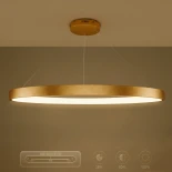 kelvo® NEMESIS KLV-101-0213 Κρεμαστό Φωτιστικό Οροφής LED 67W 6700lm 180° AC 220-240V IP20 Ρυθμιζόμενο Λευκό CCT με Χειριστήριο από 2700K έως 6000K Dimmable - Lumileds SMD Chip - Χρυσό Πλατίνα - Μ80 x Π80 x Υ4cm - 3 Χρόνια Εγγύηση