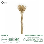 GloboStar® Artificial Garden REAL DRIED WHEAT GRASS 21488 Τεχνητό Διακοσμητικό Κλαδί Σιταριού Y30cm - Σετ 10 τμχ