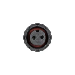 GLOBOSTAR® CONNECTOR 999-0265 2 Pin Σύνδεσμος Τροφοδοσίας για Wall Washers & Προβολείς με Είσοδο 2 x 0.25mm2 & Έξοδο 1 x Αρσενικό Βύσμα Αδιάβροχο IP65 - Μαύρο - Μ00 x Π00 x Υ00cm
