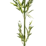 GloboStar® Artificial Garden BAMBOO BRANCH 20439 Τεχνητό Διακοσμητικό Κλαδί Μπαμπού Υ200cm