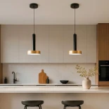 kelvo® ZANE KLV-101-0349 Κρεμαστό Φωτιστικό Οροφής LED 18W 1800lm 120° AC 220-240V IP20 Ρυθμιζόμενο Λευκό CCT με Χειριστήριο από 2700K έως 6000K Dimmable - Lumileds SMD Chip - Σατινέ Χρυσό Βούρτσας & Μαύρο Ματ - Μ15 x Π15 x Υ20cm - 3 Χρόνια Εγγύηση