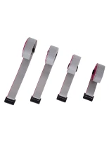 GloboStar® DATULCO 90241 Καλωδιοταινία 1m Data Cable HUB75 Μεταφοράς Σήματος/Εικόνας για Ψηφιακές Οθόνες LED Video Wall Μ100 x Π2.5 x Υ1.5cm - 2 Years Warranty