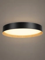 KLV-101-0587-V2