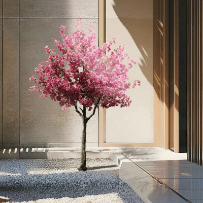 Plant - Tree Name: BOUGAUVILLEA / Plant - Tree Code - SKU: 20670