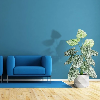 Plant - Tree Name: VARENNA / Plant - Tree Code - SKU: 20742 | Flower Pot Name: CALADIUM / Flower Pot Code - SKU: 20908
