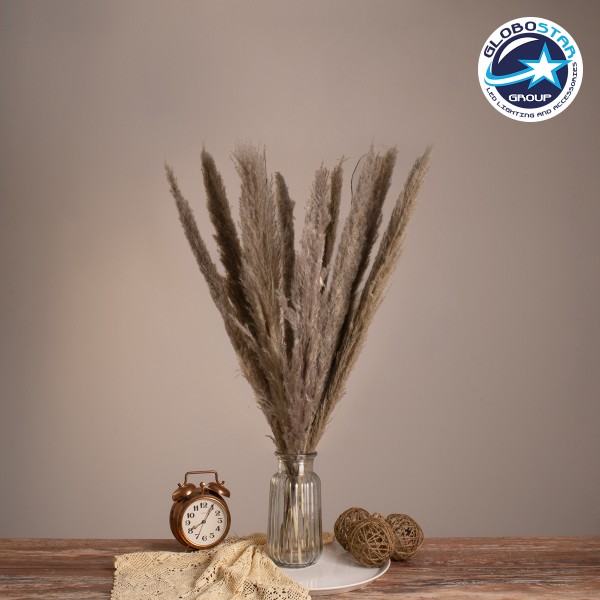GloboStar® PAMPASGRASS 36511 Αποξηραμένο Φυτό Γρασίδι της Πάμπας - Μπουκέτο Διακοσμητικών Κλαδιών Καφέ - Γκρι Υ80cm - Σετ 10 τμχ