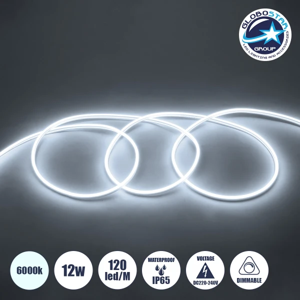 GLOBOSTAR® NEOVALE 70570 Ταινία Neon Flex LED 12W/m 1080lm/m 120° DC 220-240V Αδιάβροχο IP65 120 x SMD2835 Chip/m Ψυχρό Λευκό 6000K Dimmable - Sanan SMD Chip - Μ100 x Π0.8 x Υ1.6cm - 3 Χρόνια Εγγύηση